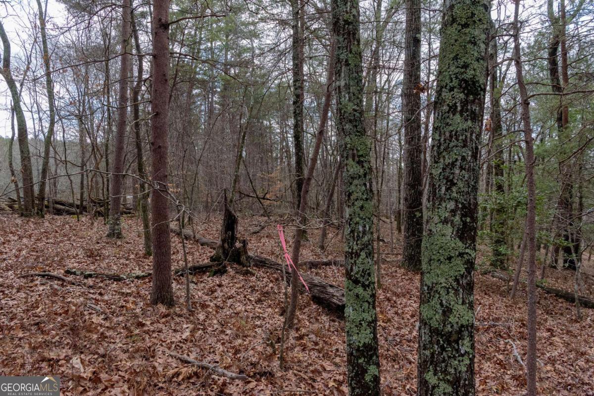 1475 Paradise Park RD