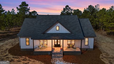 115 Watermelon LN Mauk GA 31058