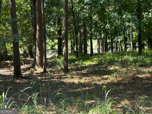 1191 LAKEVIEW CT, GREENSBORO, GA 30642 - Image 576e5263b078d844d7d0bd3be03479c9/24665829