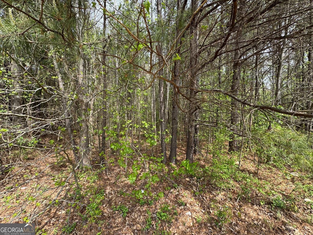 Photo of 0 Highway 138, Jonesboro, GA 30236 (MLS # 10813315)