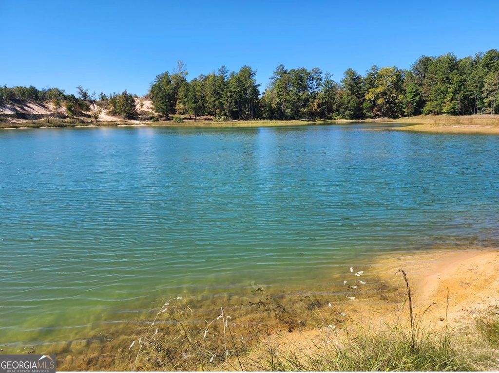 Photo of 0 Neal Road, Junction City, GA 31812 (MLS # 10805526)