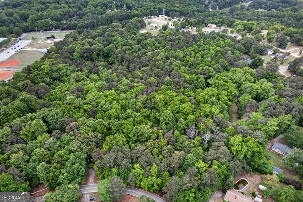 Photo of 1921 Mack Road, Douglasville, GA 30135 (MLS # 10766698)