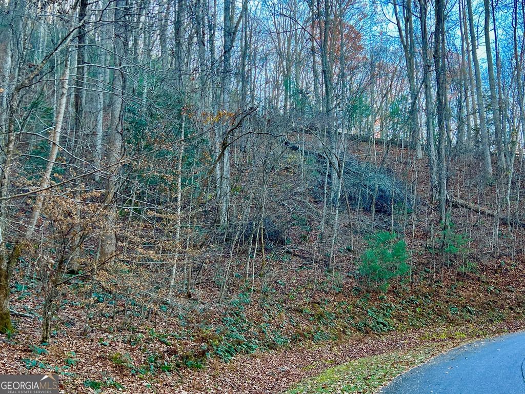 Photo of 22 Walkers Ridge, Mineral Bluff, GA 30559 (MLS # 10650603)