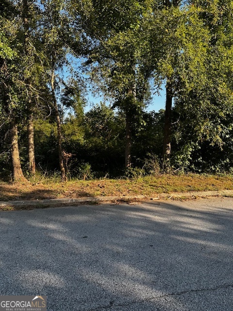 Residential corner lot in Adrian Villas subdivision. Only a few lots left in this developed subdivision.