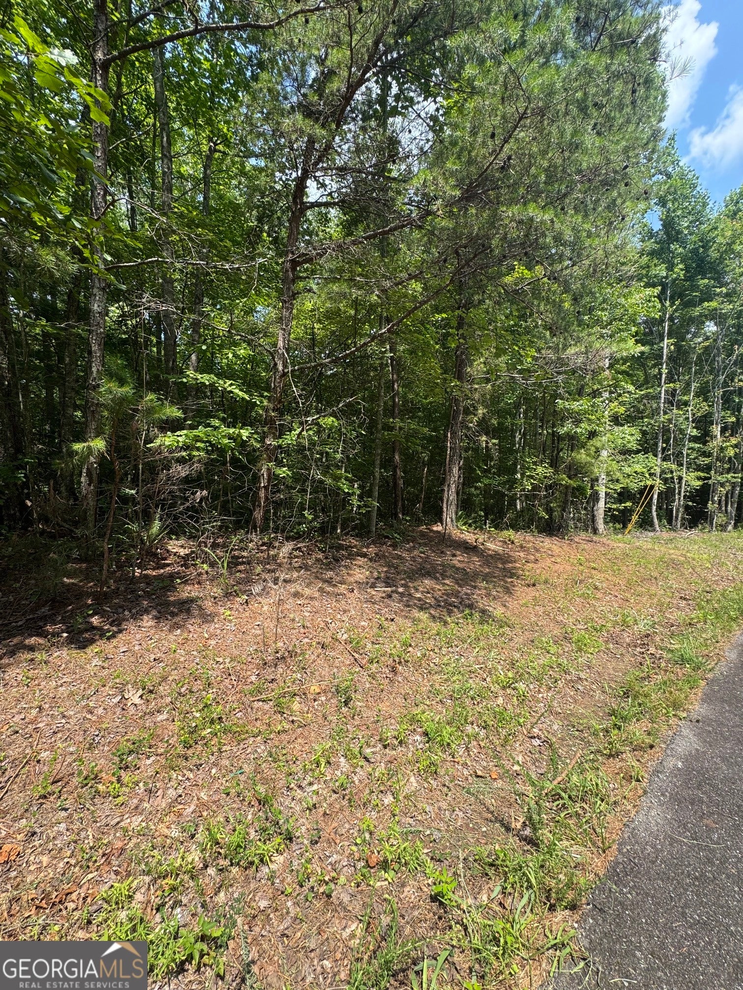 TR 3,4 Lakeland DR
