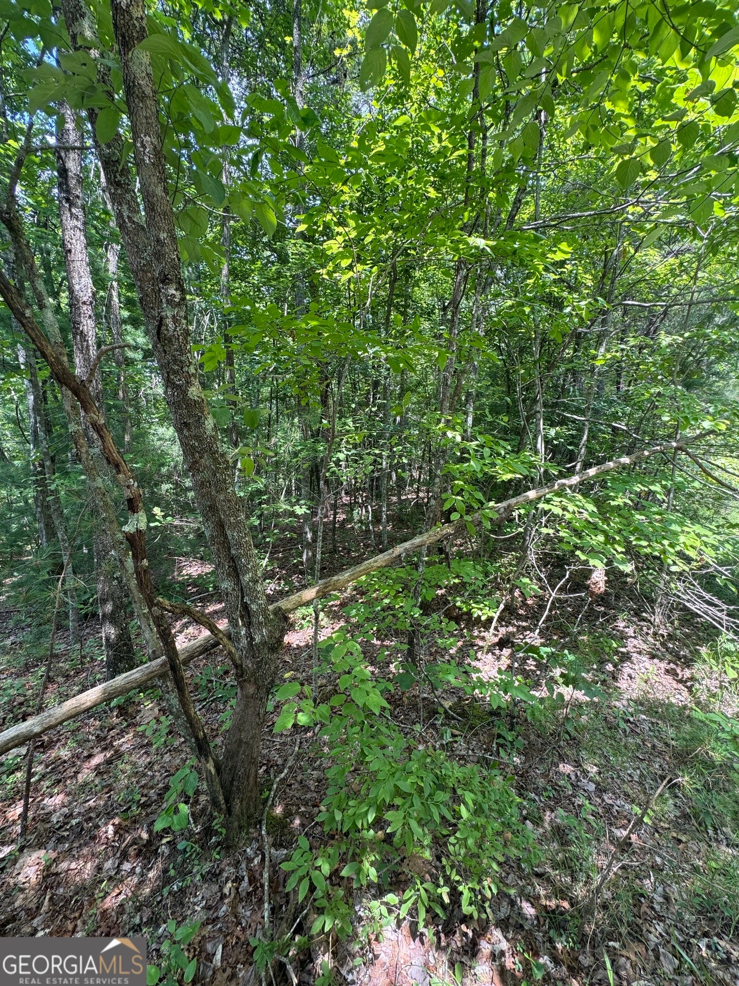 TR 3,4 Lakeland DR