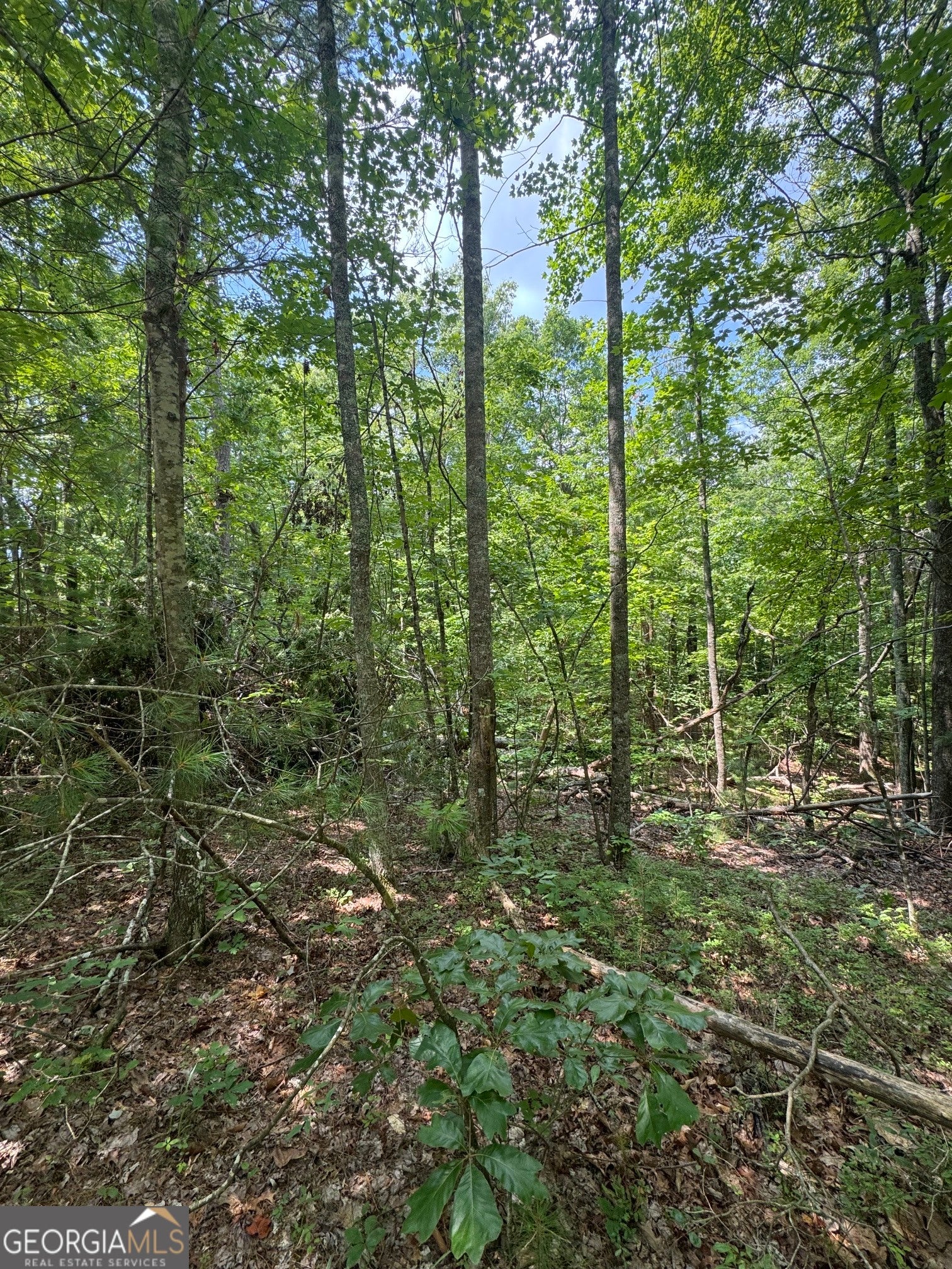 TR 3,4 Lakeland DR
