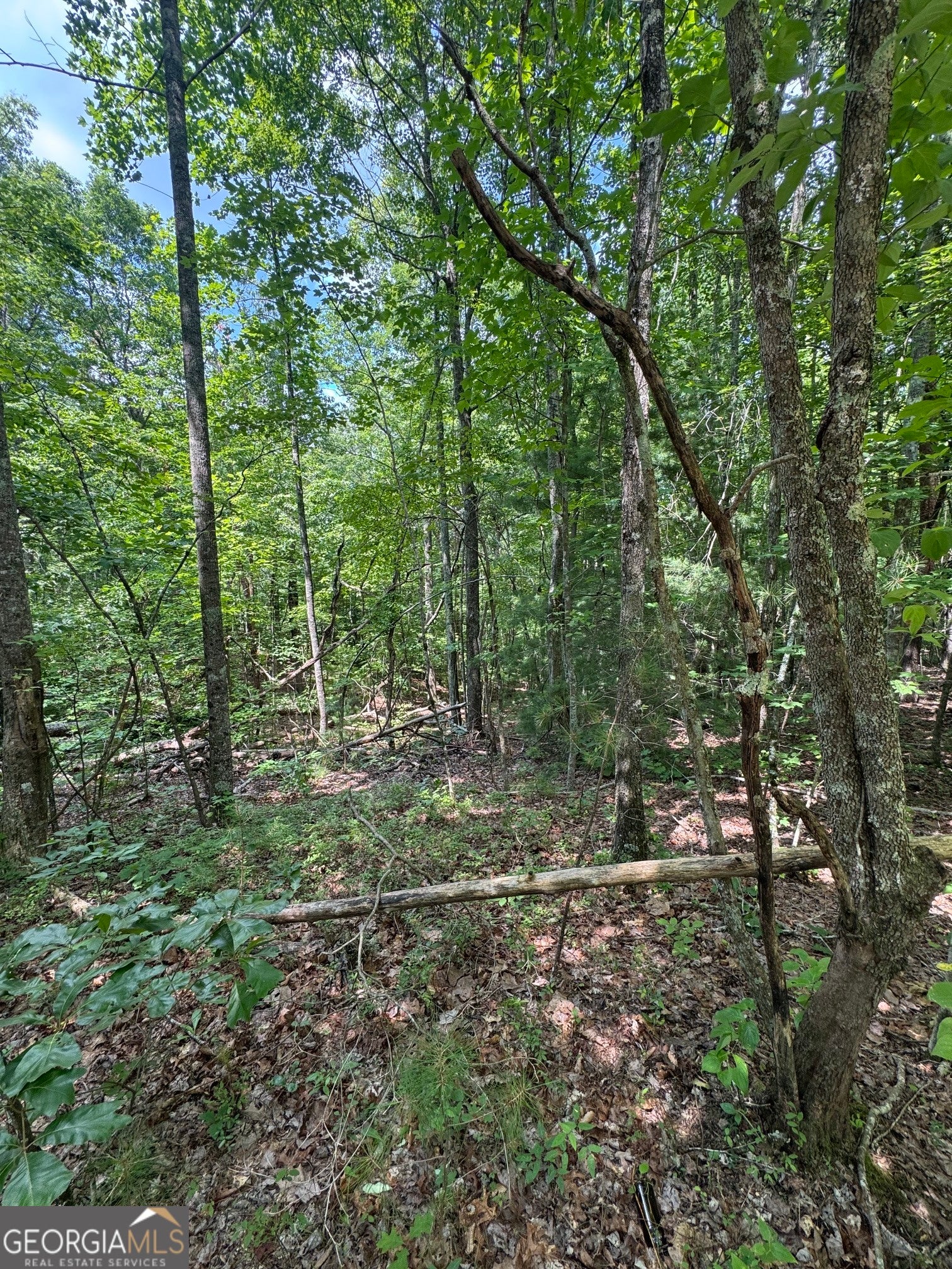 TR 3,4 Lakeland DR
