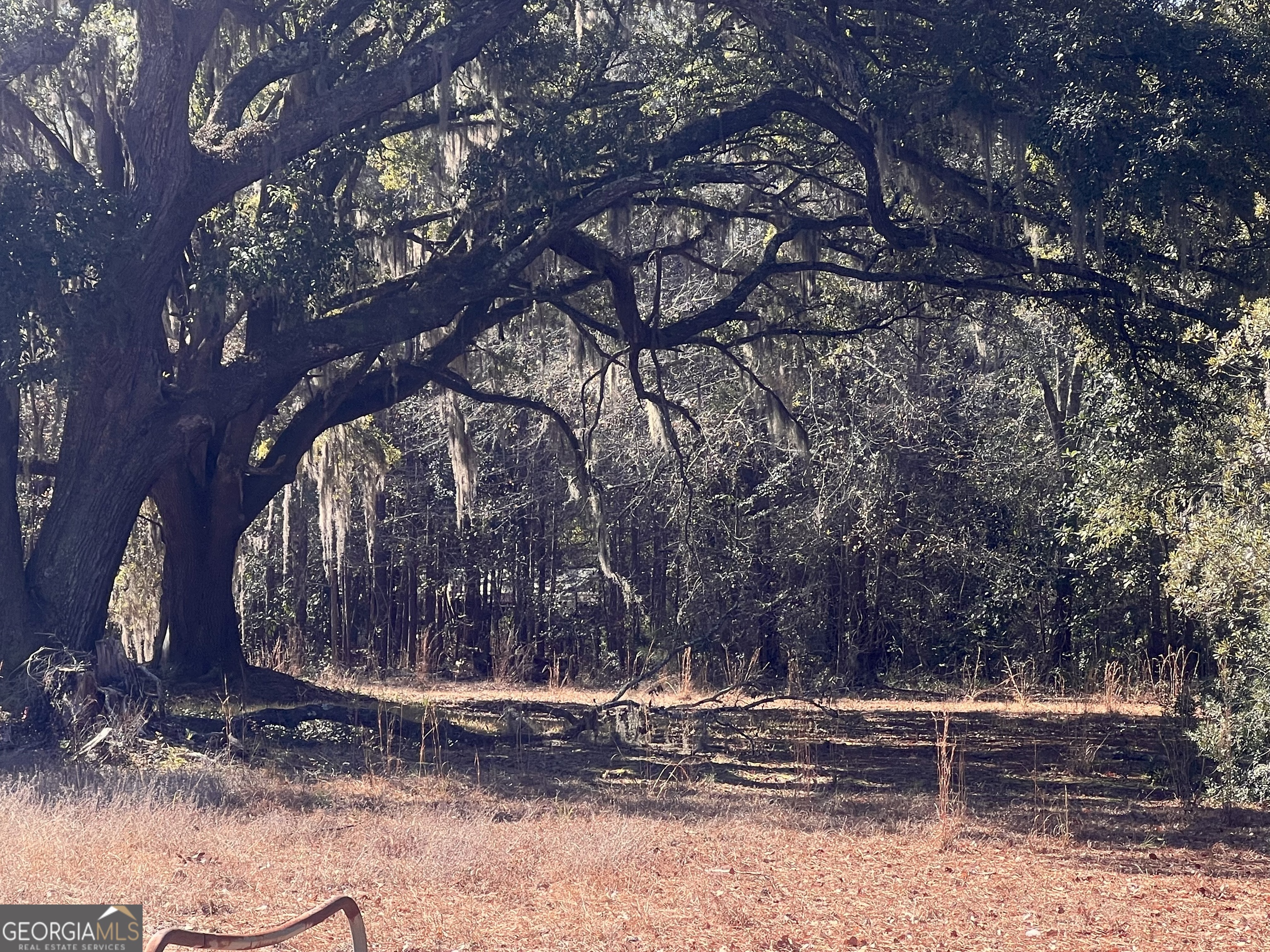 145 Cherrie Murrell RD