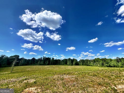 Photo of 0 Wilson Way, Musella, GA 31066 (MLS # 10756236)