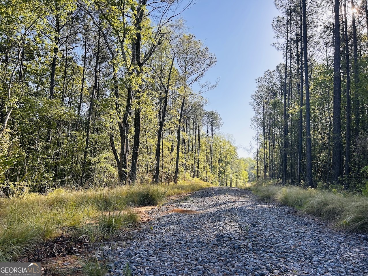paragraph form ChatGPT said: This 13 acre property near Lizella, GA, in Crawford County offers a peaceful country retreat with plenty of possibilities. A well-established driveway leads to a 1216 shed outfitted with four solar panels, providing an eco-friendly start for your rural lifestyle. Gardening enthusiasts will appreciate the 1865 fully fenced garden space, perfect for cultivating fresh produce. Whether you envision building your dream farmhouse, creating a weekend getaway, or simply enjoying the tranquility of the countryside, this property delivers a rare opportunity to live the life you've imagined.