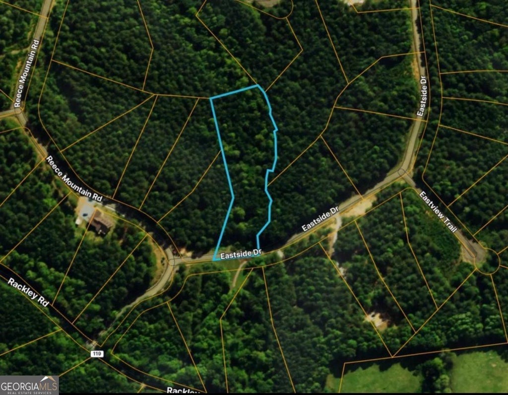 Photo of 37 Eastside Drive, Ellijay, GA 30536 (MLS # 10827918)