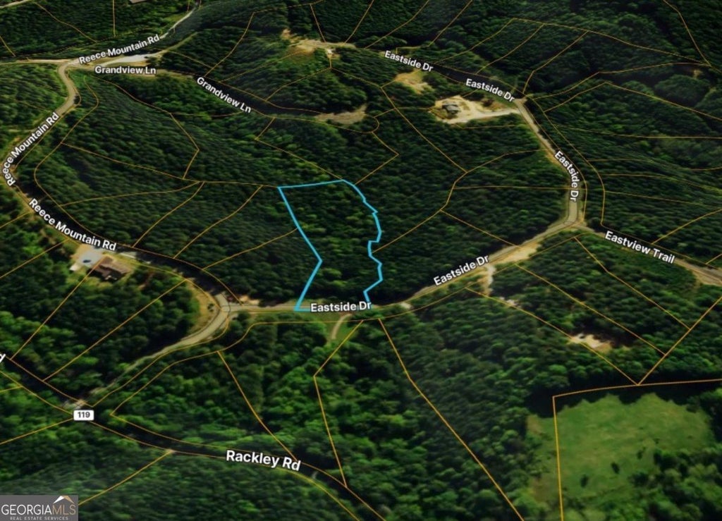 Photo of 37 Eastside Drive, Ellijay, GA 30536 (MLS # 10827918)