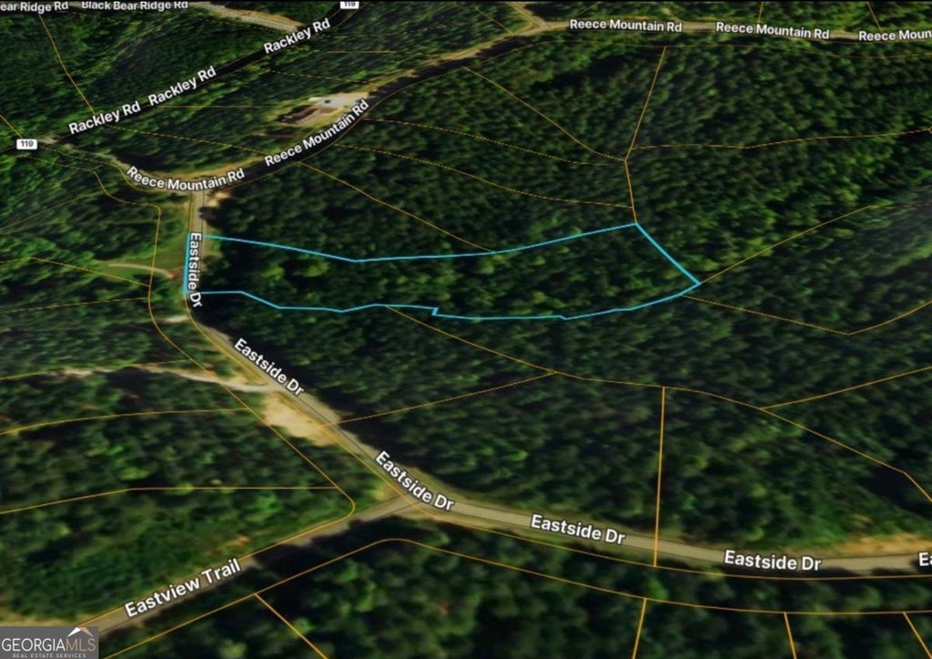 Photo of 37 Eastside Drive, Ellijay, GA 30536 (MLS # 10827918)
