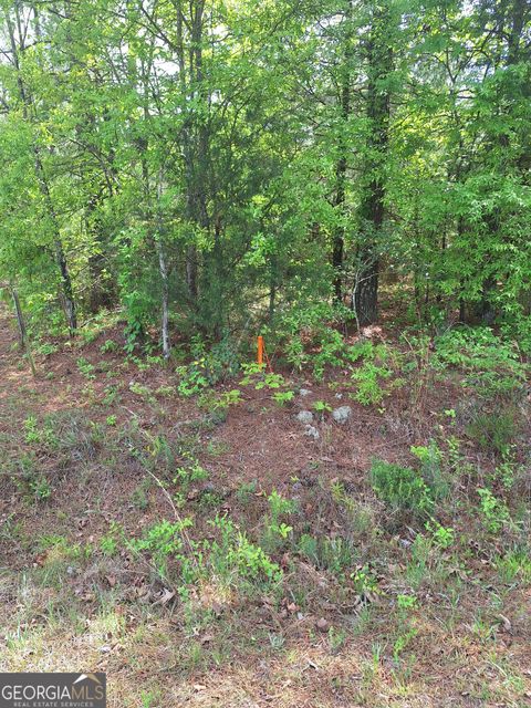 0 Hester Road Elberton GA 30635