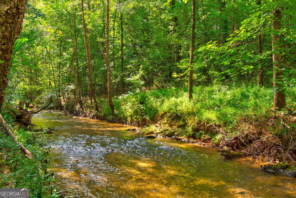Photo of 0 S Hills Mill Road, Cornelia, GA 30531 (MLS # 10801327)