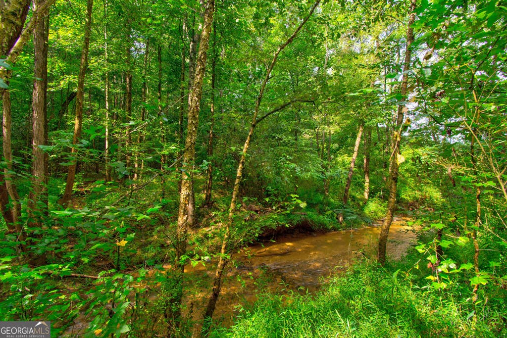 Photo of 0 S Hills Mill Road, Cornelia, GA 30531 (MLS # 10801327)