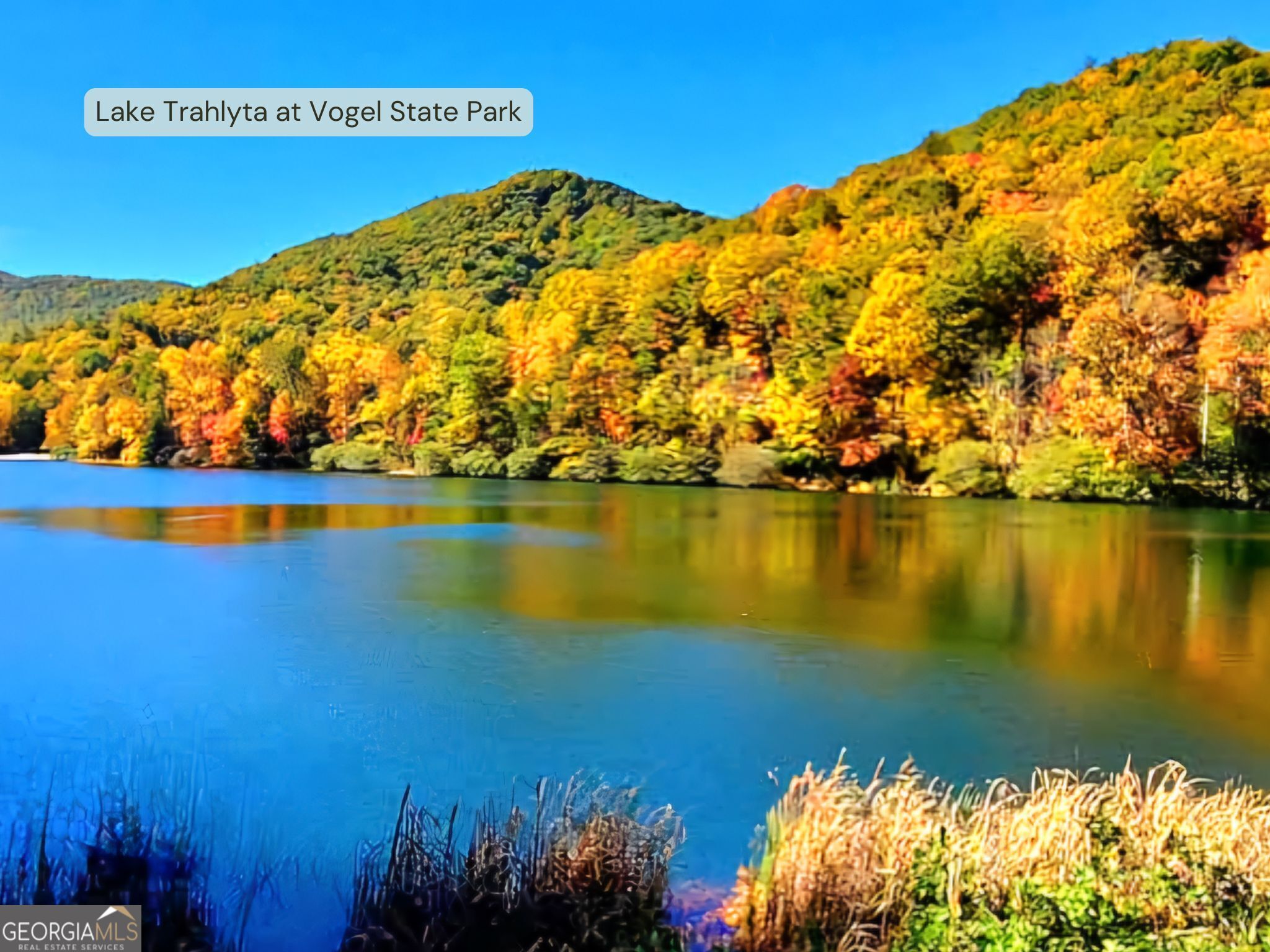 Blairsville, Georgia 30512, United States, 2 Bedrooms Bedrooms, ,2 BathroomsBathrooms,Residential,Active,6686