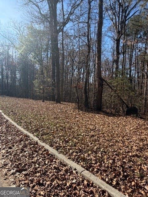 Photo of 120 Oak Terr Ter, Fayetteville, GA 30214 (MLS # 10651346)