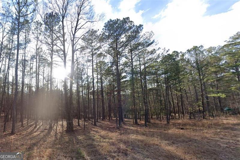 Nestled in the desirable La Maison Estate subdivision, this prime .87-acre lot located at 2704 NE Antioch Street in Conyers, Georgia offers an exceptional opportunity to build your dream home. With its spacious size and serene surroundings, this lot provides ample space for your ideal home design while maintaining a sense of privacy and tranquility. As part of the La Maison Estate community, any new construction must complement the elegant aesthetic of the subdivision, ensuring that your home enhances the overall charm and appeal of the area. The lot is suitable for a variety of architectural styles, though house plans should be compatible with the subdivision's sophisticated and upscale character. Key Features: Lot Size: 0.87 acres Location: 2704 NE Antioch Street, Conyers, GA Subdivision: La Maison Estate Preferred Builder: Buyer is encouraged to work with an approved builder familiar with the subdivision's guidelines. Home Design: House plans must complement the established architectural style of La Maison Estate, ensuring consistency and high-quality construction standards. This lot is ideal for those seeking to build in a peaceful, well-established community with easy access to local amenities and major highways. Don't miss your chance to become part of this exclusive neighborhood!