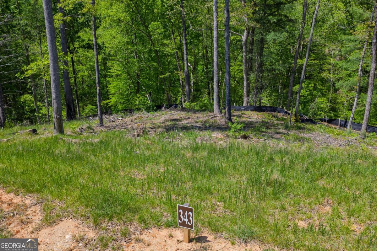 LOT 343 Shallow Branch DR