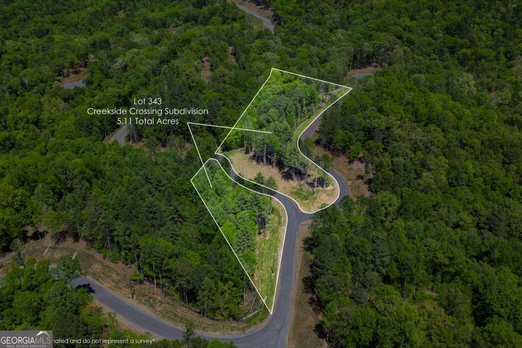 Photo of 343 Shallow Branch Drive, Talking Rock, GA 30175 (MLS # 10737502)