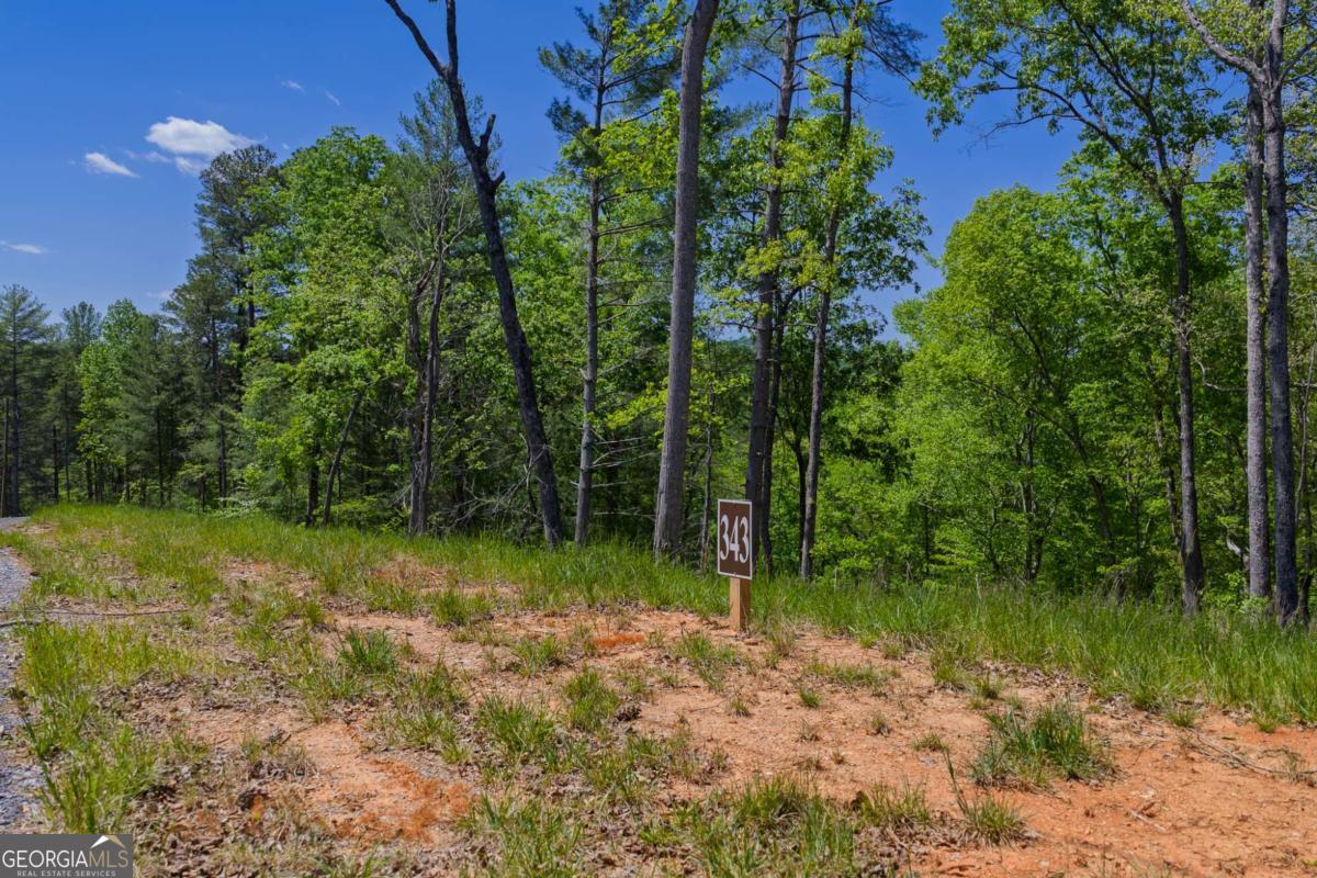 LOT 343 Shallow Branch DR