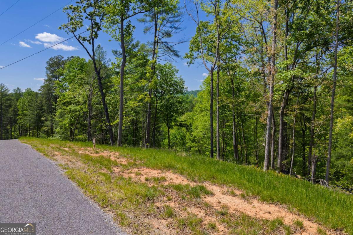 LOT 343 Shallow Branch DR