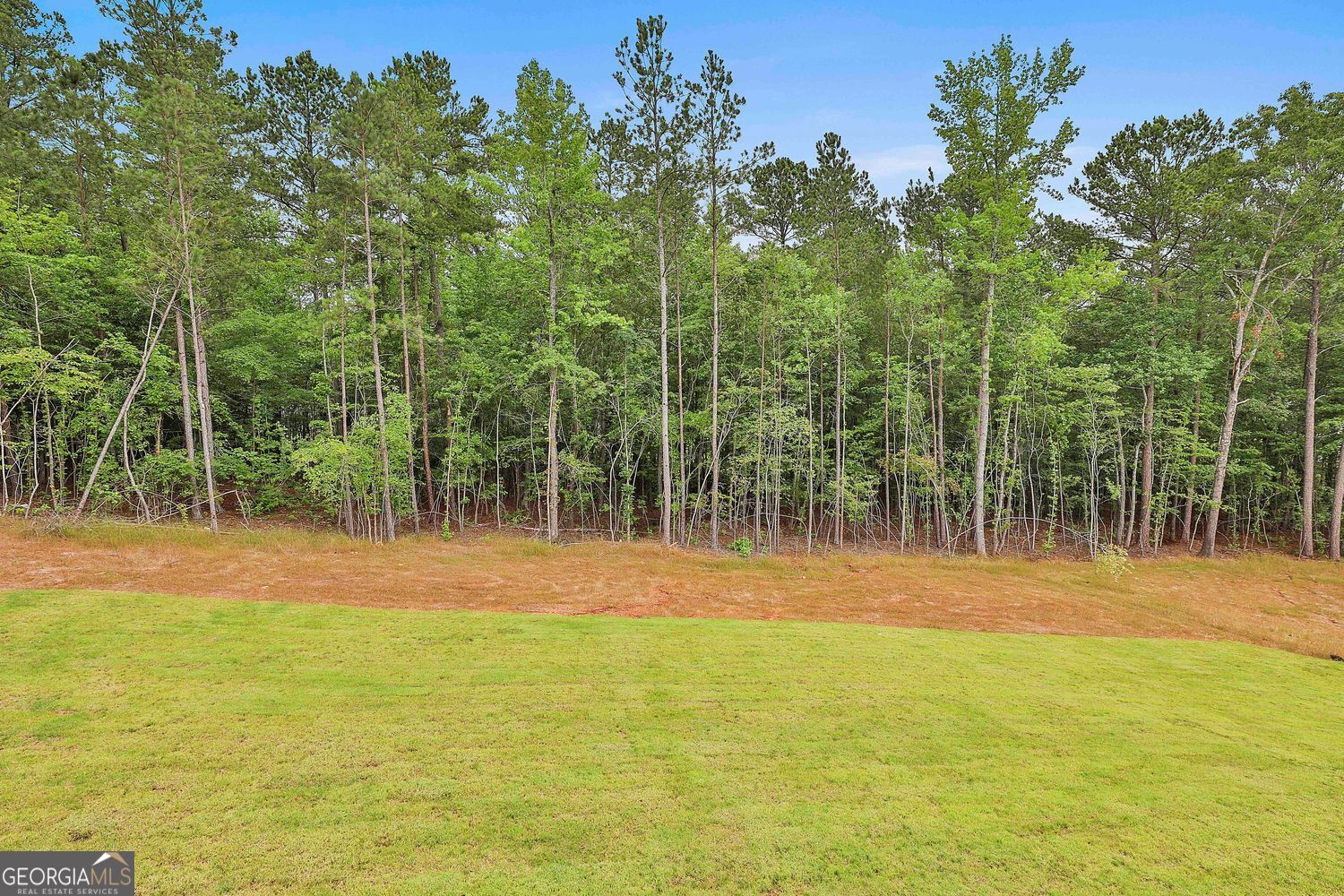 Fayetteville, Georgia 30215, United States, 4 Bedrooms Bedrooms, ,4 BathroomsBathrooms,Residential,Active,224368