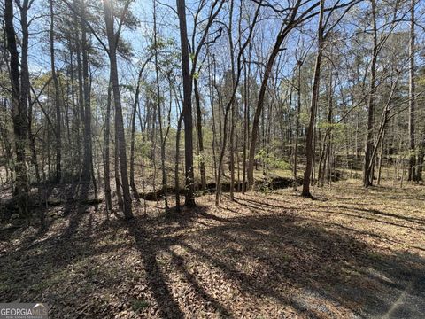 Photo of 0 Welker Circle, Macon, GA 31211 (MLS # 10711877)