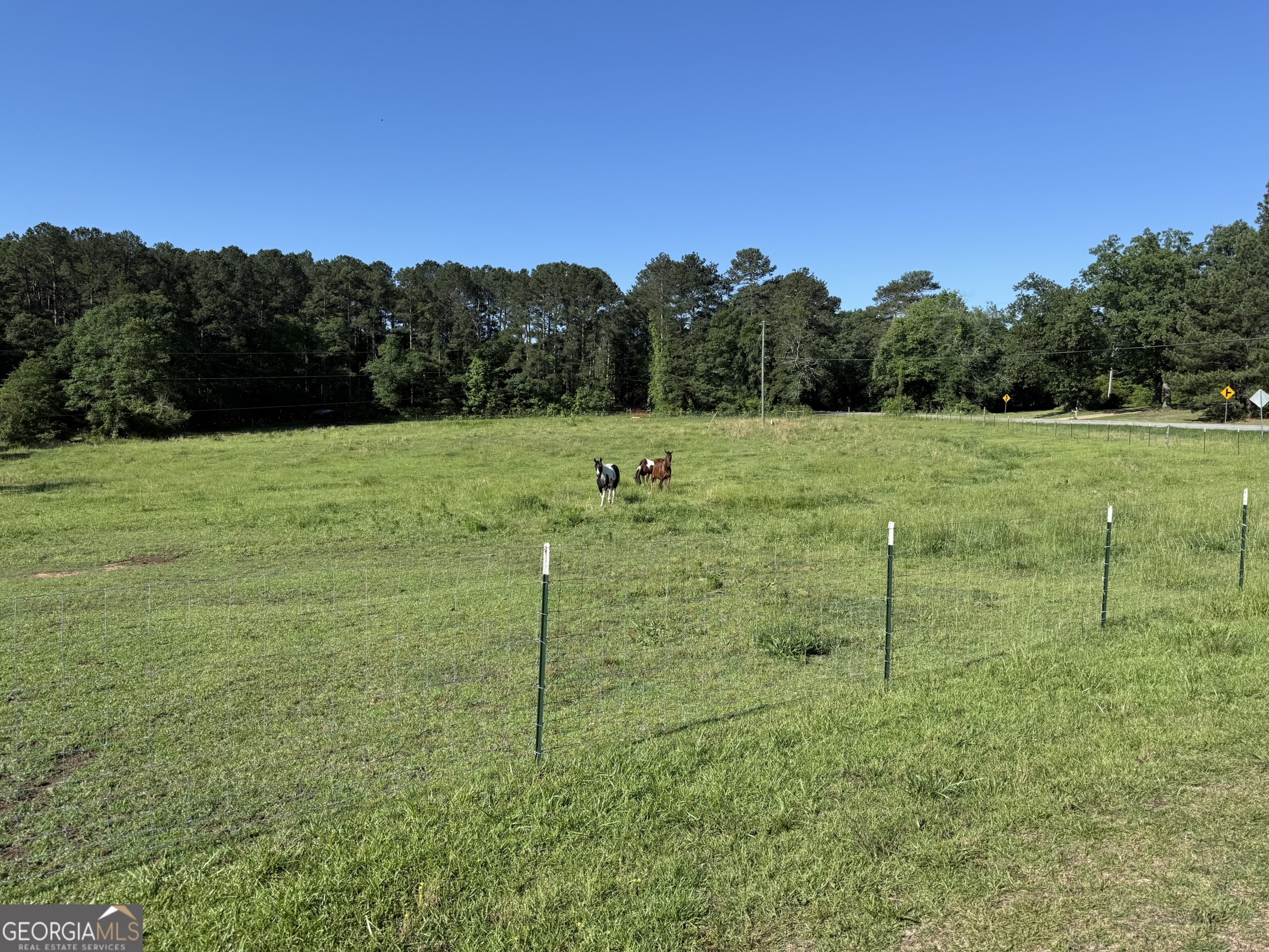 163 Carl Cedar Hill RD