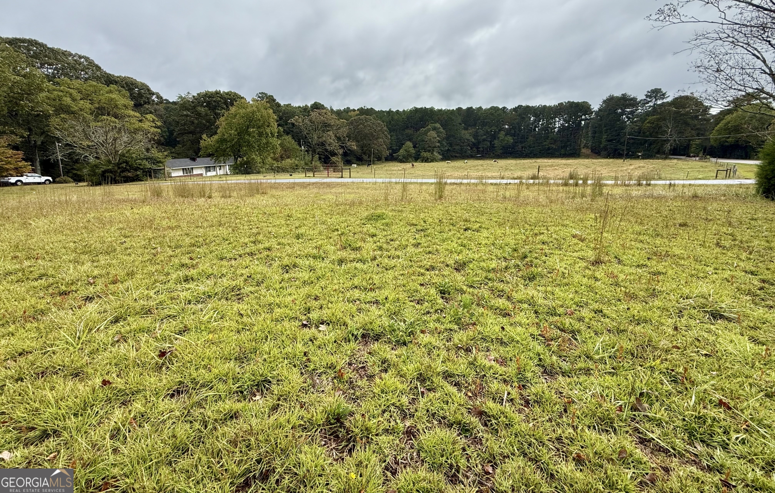 163 Carl Cedar Hill RD
