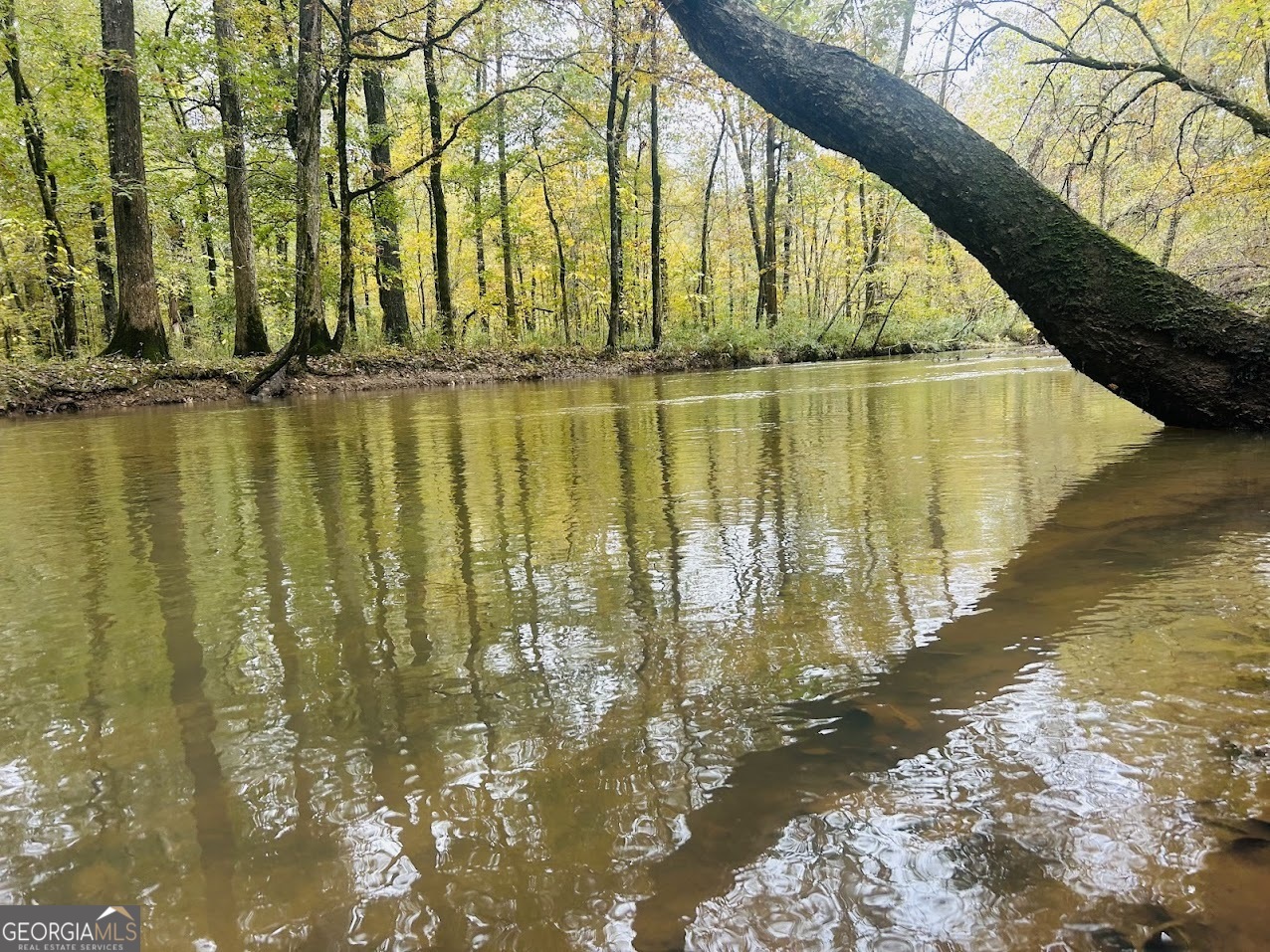 592 Andrew Caldwell Road TRACT 2A