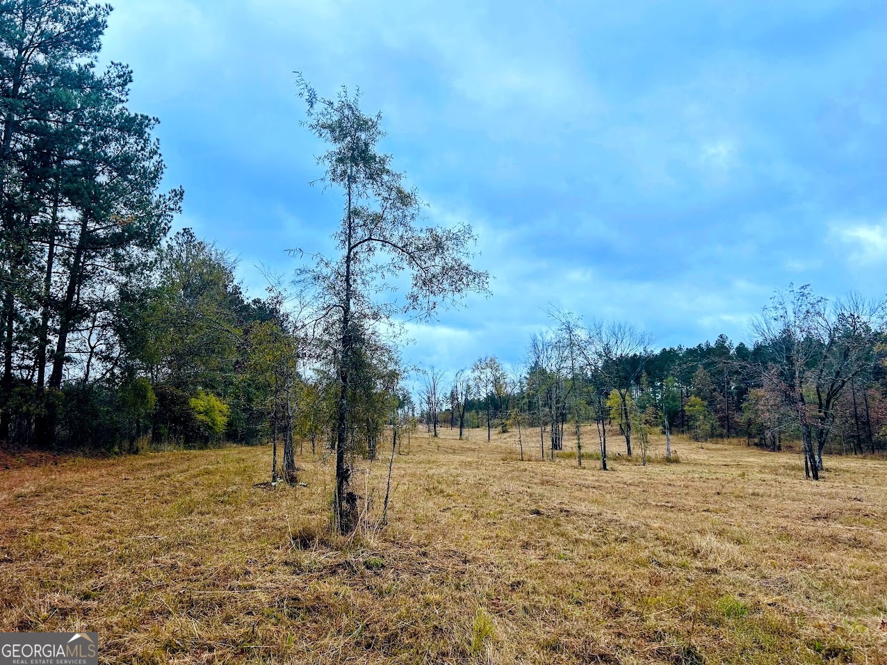 592 Andrew Caldwell Road TRACT 2A