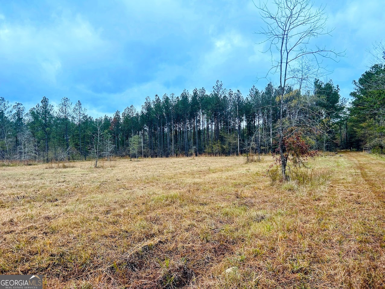 592 Andrew Caldwell Road TRACT 2A