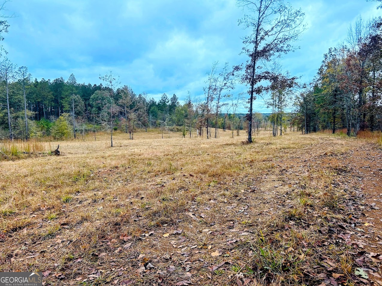 592 Andrew Caldwell Road TRACT 2A