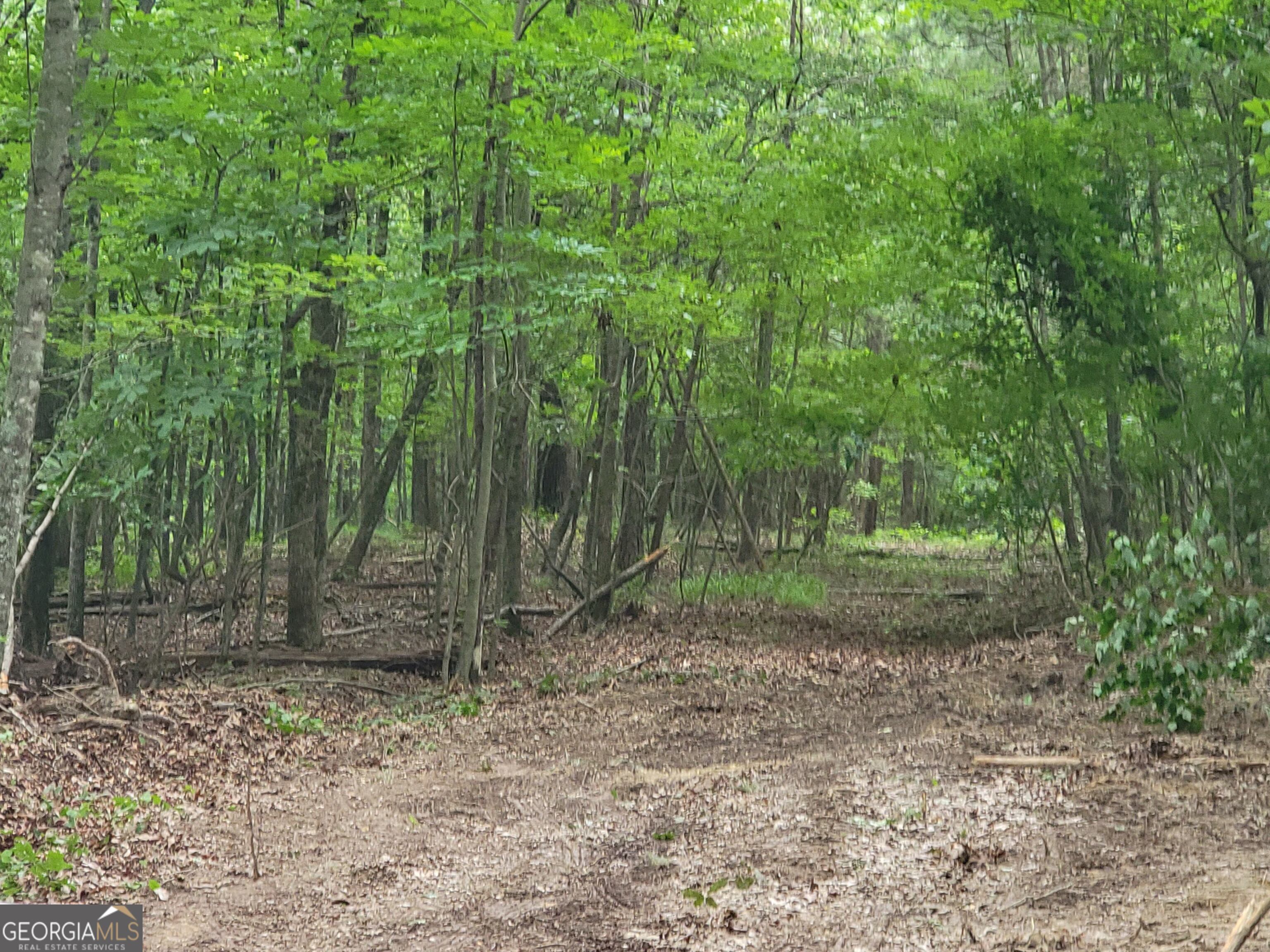 0 Rocky Hollow RD