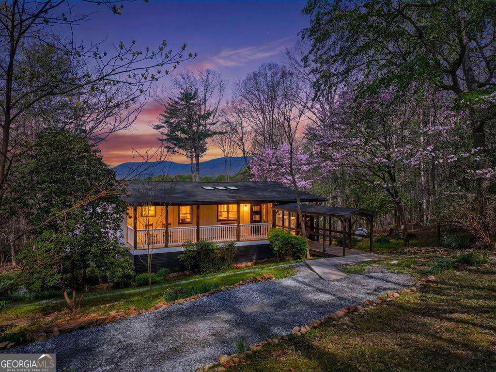 361 Rising Star RD