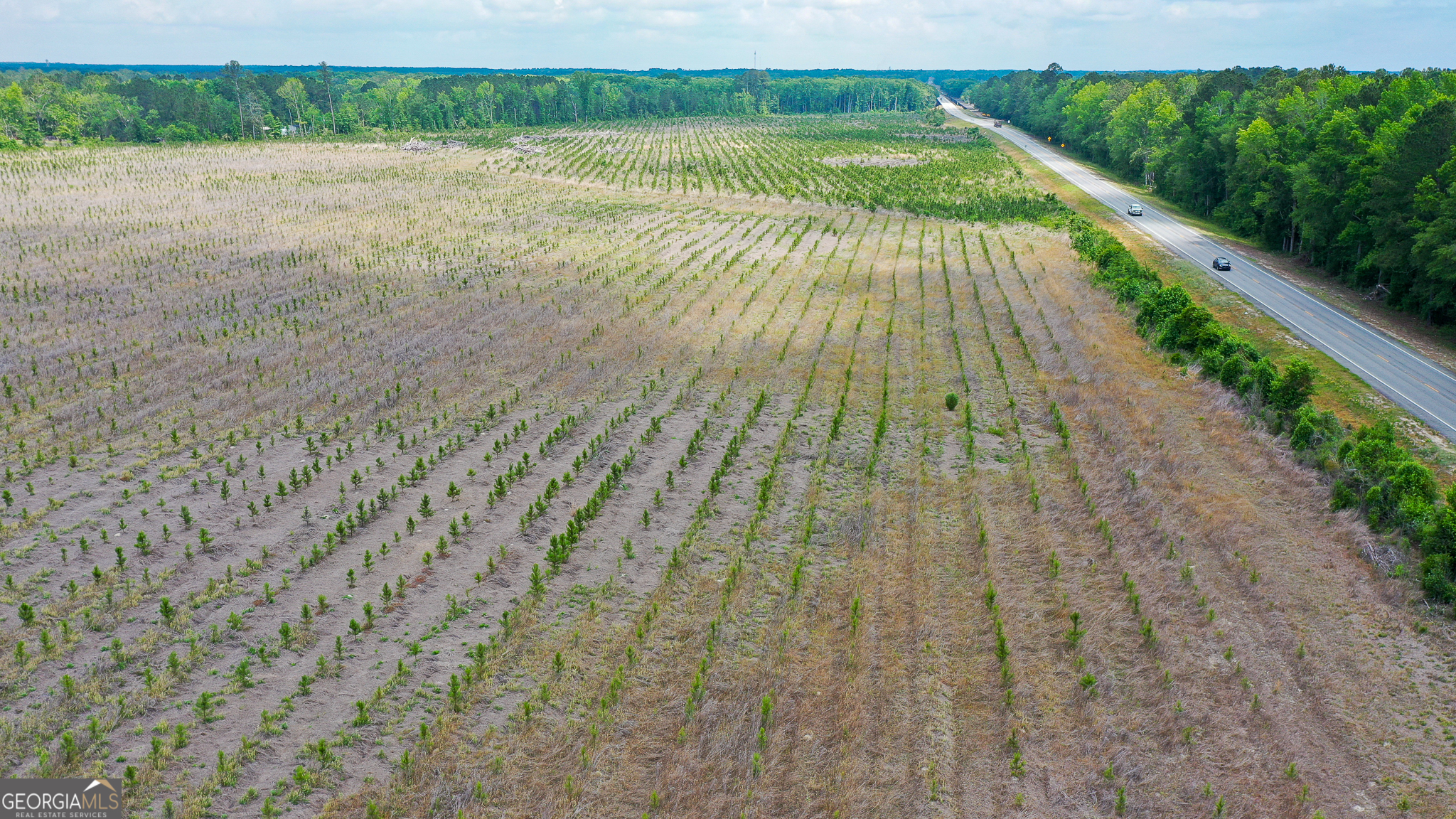 Welcome to Bulloch Sands 10! Don't miss this rare opportunity to own +/- 16 acres of prime land in the heart of Bulloch County, Georgia. This spacious property is perfectly positioned along Highway 301 with approximately 1.455 feet of road frontage, making it easily accessible for future endeavors. Whether you're looking to build a new home or invest in land with excellent growth potential, this property provides a blank canvas for your vision. The land is home to approximately +/- 16 acres of 2-year-old, planted loblolly pine trees, offering future timber value or the chance to enjoy the natural beauty of your surroundings. With no restrictions in place, you have the freedom to create the space you desire, from a private residence to agricultural use or other development possibilities. Location is key, and this property doesn't disappoint. Situated just 8 miles north of Statesboro, 15 miles south of Sylvania, and 35 miles from the rapidly expanding Hyundai Plant, the convenience and potential for growth in the area are unmatched. Additionally, the property is approximately 45 miles from Savannah-Hilton Head International Airport, ensuring easy access to travel and commerce hubs. A Level 2 soil analysis has already been completed with positive results, so the land is suitable for construction or agricultural purposes. The analysis report is available upon request for serious buyers. This +/- 16-acre property in Bulloch County offers the perfect mix of accessibility, privacy, and opportunity. Act now to make it yours! Key Features +/- 16 Acres of Land - Plenty of space for residential or agricultural use. +/- 1,455 Feet of Road Frontage - Easy access directly off Highway 301. 2-Year-Old Loblolly Pine Trees - Perfect for future timber or maintaining a natural landscape. No Restrictions - Freedom to build or develop as you choose. Proximity to Major Locations: 8 miles north of Statesboro, GA. 15 miles south of Sylvania, GA. 35 miles to the Hyundai Plant. 45 miles to Savannah-Hilton Head International Airport. Level 2 Soil Analysis Completed - Positive results show the land is suitable for building or agriculture (report available upon request). Location Highlights This property boasts a location that is both convenient and highly desirable. It's just 8 miles north of Statesboro, a thriving city with excellent schools, dining options, and cultural attractions. Statesboro is also home to Georgia Southern University, which brings additional opportunities and a vibrant community feel. Heading south, Sylvania is only 15 miles away and offers small-town charm with shopping, dining, and recreational activities. The property's location is also strategic for those seeking employment or business opportunities. In fact, the Hyundai Plant, a major employer and economic driver for the region, is just 35 miles away. For those who need access to travel and transportation, Savannah-Hilton Head International Airport is only 45 miles away, providing a gateway to domestic and international destinations. This proximity makes the property ideal for both permanent residents and those looking for a weekend getaway within reach of major urban centers. Contact Us Don't miss the chance to own this versatile +/- 16-acre property in beautiful Bulloch County, Georgia! With no restrictions, prime road frontage, and close proximity to key locations, this land is ready for your vision. Whether you're dreaming of building a private residence, starting a farm, or making a long-term investment, this property has it all. Contact us today for more information or to schedule a tour of the property. Opportunities like this don't last long - act now to secure your piece of Georgia land!