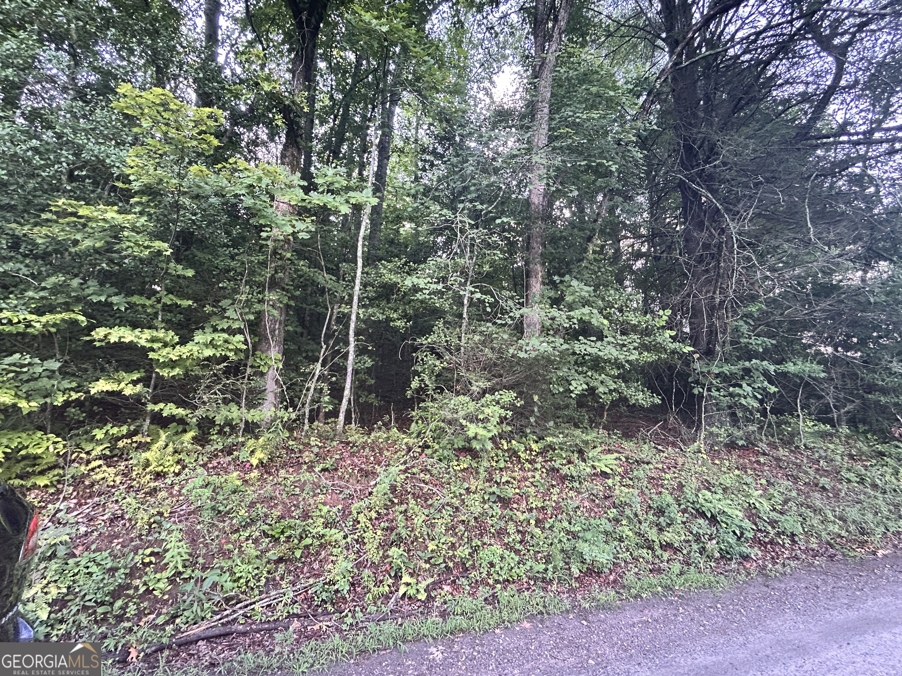 Mountain Retreat Lot for Sale - $48,000 North Georgia Mountains | 1 Acre | Near Helen & Unicoi State Park Nestled on a peaceful country road, this beautiful 1-acre sloped lot offers the perfect blend of privacy, nature, and convenience in the heart of the North Georgia mountains. Just 3 miles from Unicoi State Park and less than 5 miles from the charming Alpine town of Helen, this property is an outdoor lover's dream. Whether you're looking to build a cozy mountain cabin or invest in a quiet getaway, this lot is ideal for those who crave nature, fresh air, and adventure. The gently sloping terrain can be graded for a 1 story cabin or is perfect for a home with a walk-out basement or elevated porch to soak in the scenery. Location Highlights * Only 1.5 hours from Atlanta - easy weekend escape * Near 12+ waterfalls and hiking trails - hiker's paradise * Minutes to shopping, dining, tubing, and wineries in Helen * No HOA or covenants Enjoy the peaceful sounds of the mountains and easy access to some of Georgia's most beloved natural attractions. Don't miss this opportunity to own your own slice of mountain paradise for just $48,000. Contact us today to walk the property and start imagining your mountain retreat!