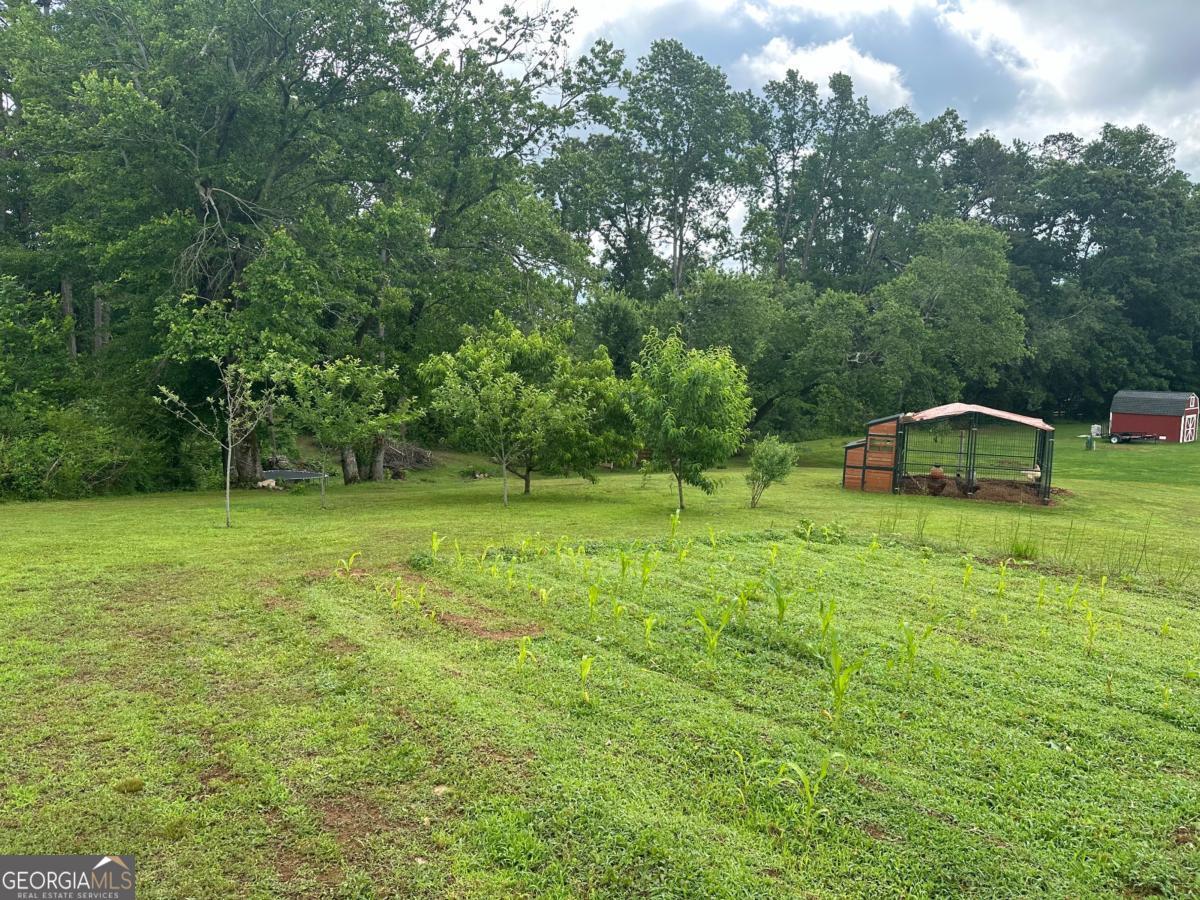 6000 John Burruss RD