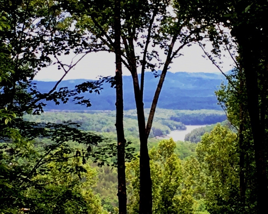 On a clear day you could see forever! Beautiful long range mountain views year around. Friendly neighbors, paved roads, underground utilities, public water, & spectacular views of mountains & Lake Nottely. Whether you want full-time living, or a vacation cabin in the mountains, Laurel Brooke is near Lake Nottely with fishing, free boat ramp, miles of scenic shoreline, & convenient to Murphy NC. Just as important, Laurel Brooke Community has reasonable regulations to protect your values. Come see this great property & begin planning your mountain home today