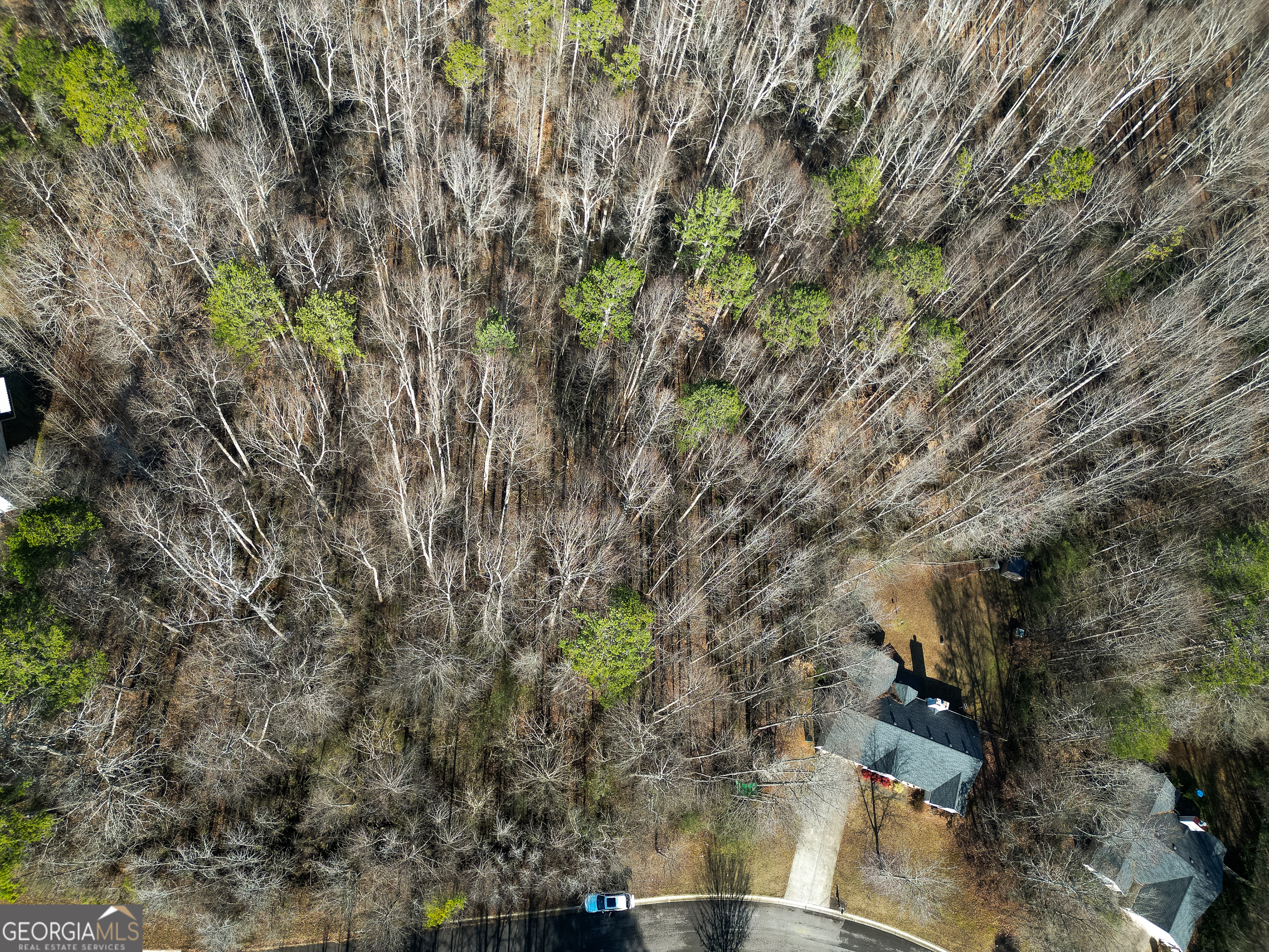 Lula, Georgia 30554, United States, ,Land,Active,23024