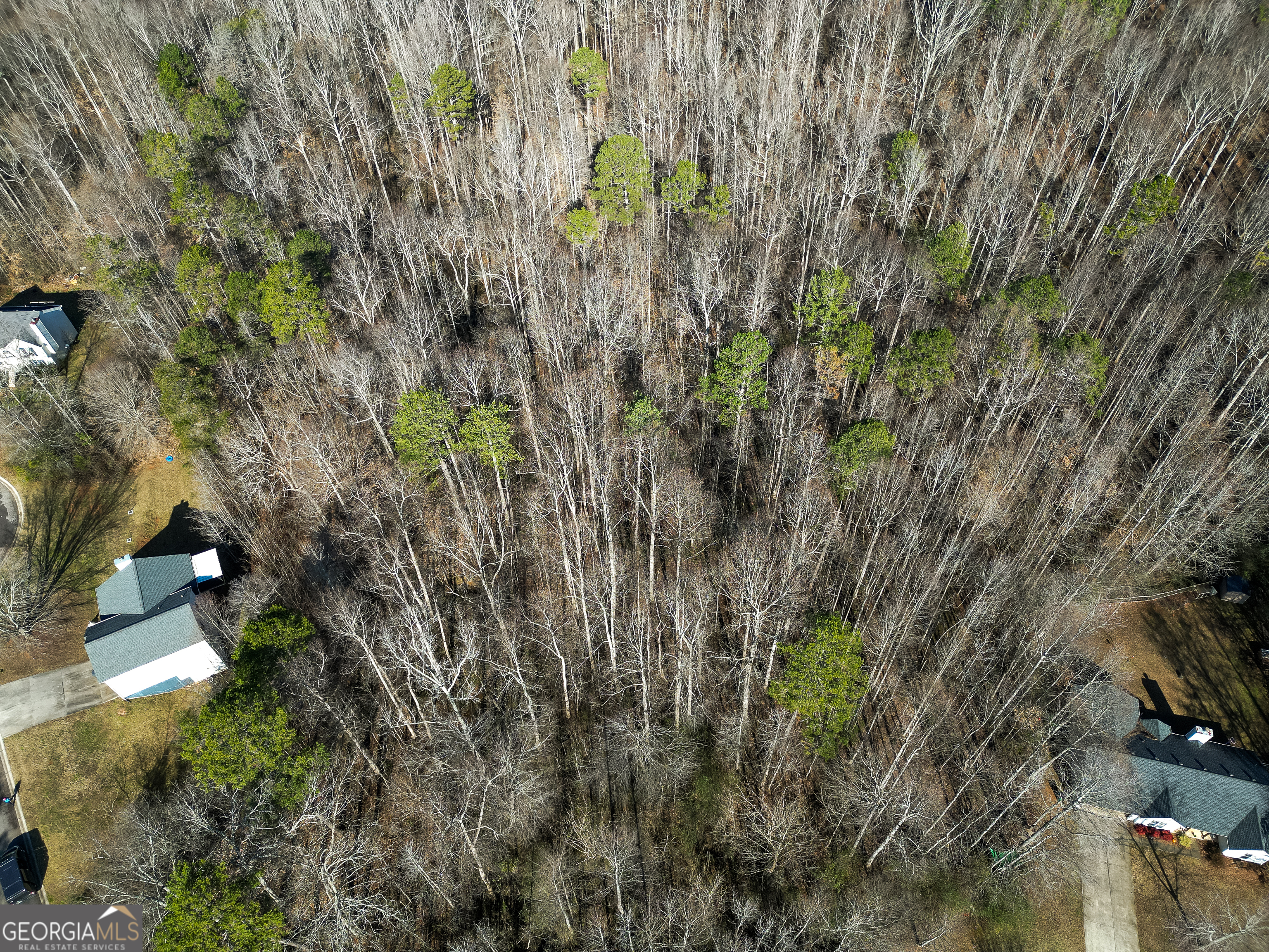 Lula, Georgia 30554, United States, ,Land,Active,23024