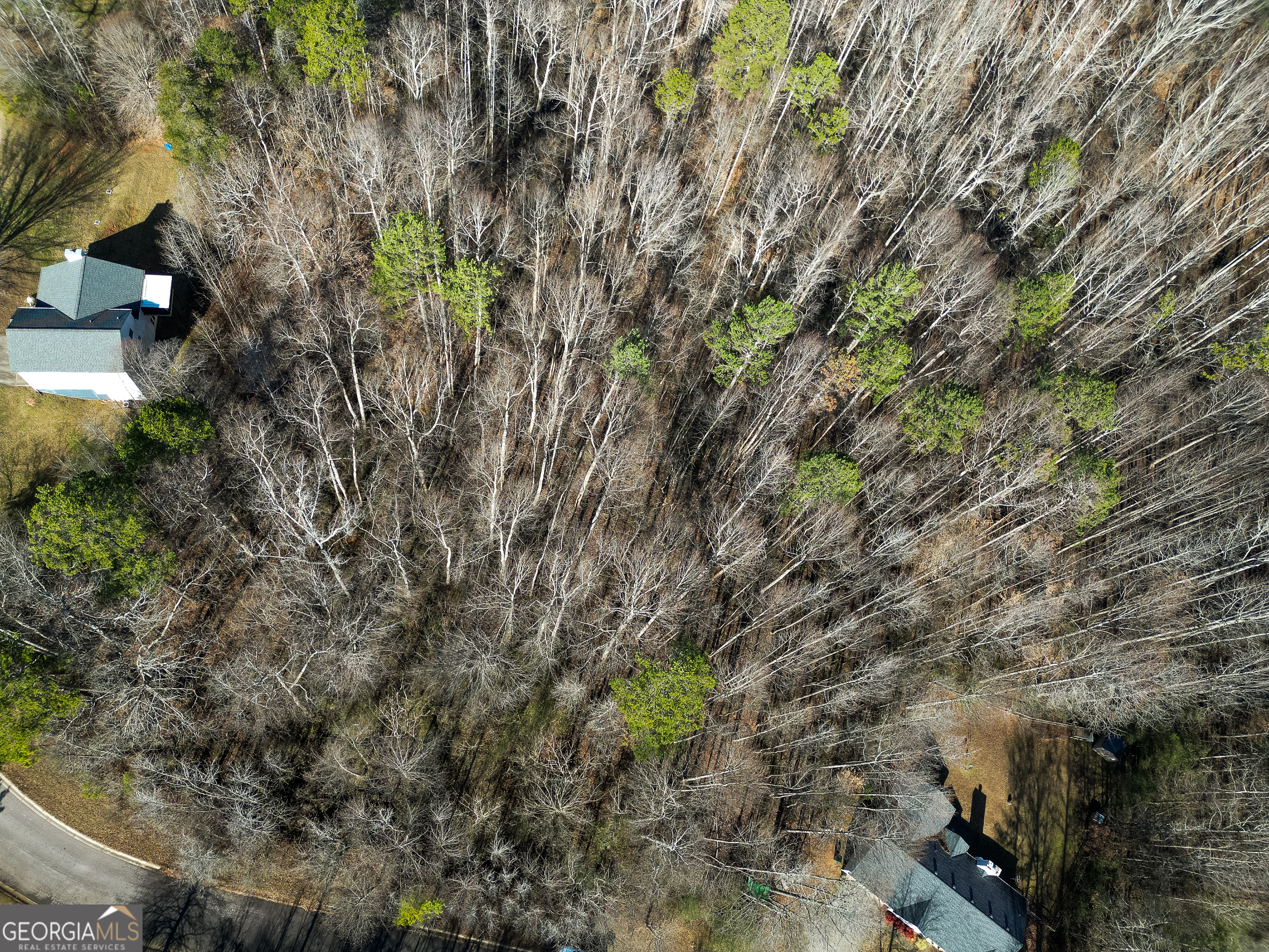 Lula, Georgia 30554, United States, ,Land,Active,23024