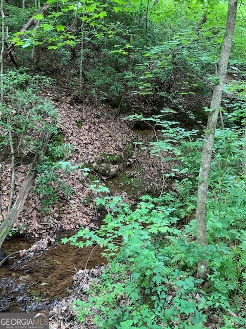 Harmony Valley - Land