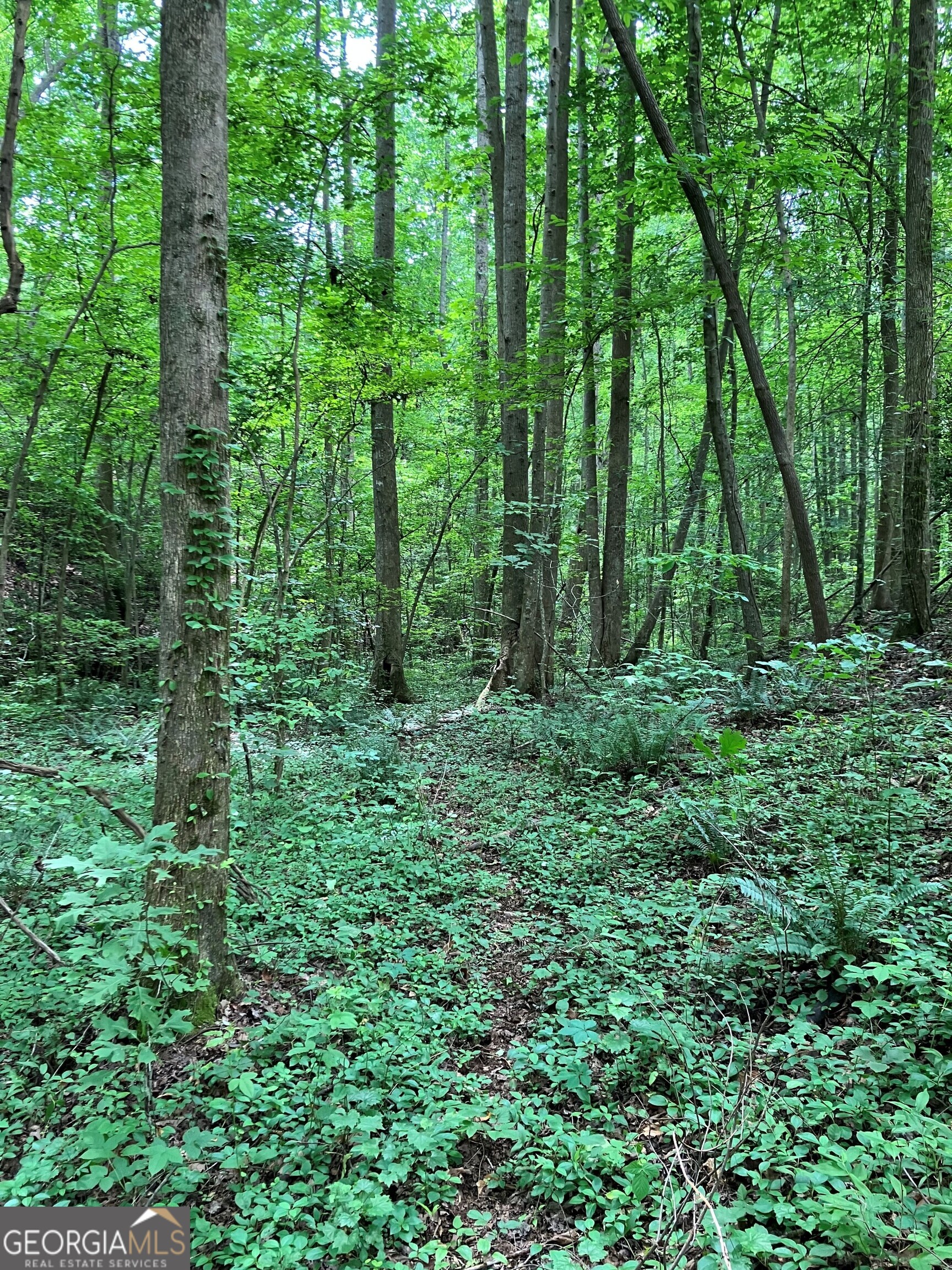 Harmony Valley - Land