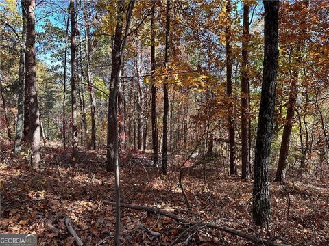 Photo of 1334 Birch Lane, Ranger, GA 30734 (MLS # 10232093)