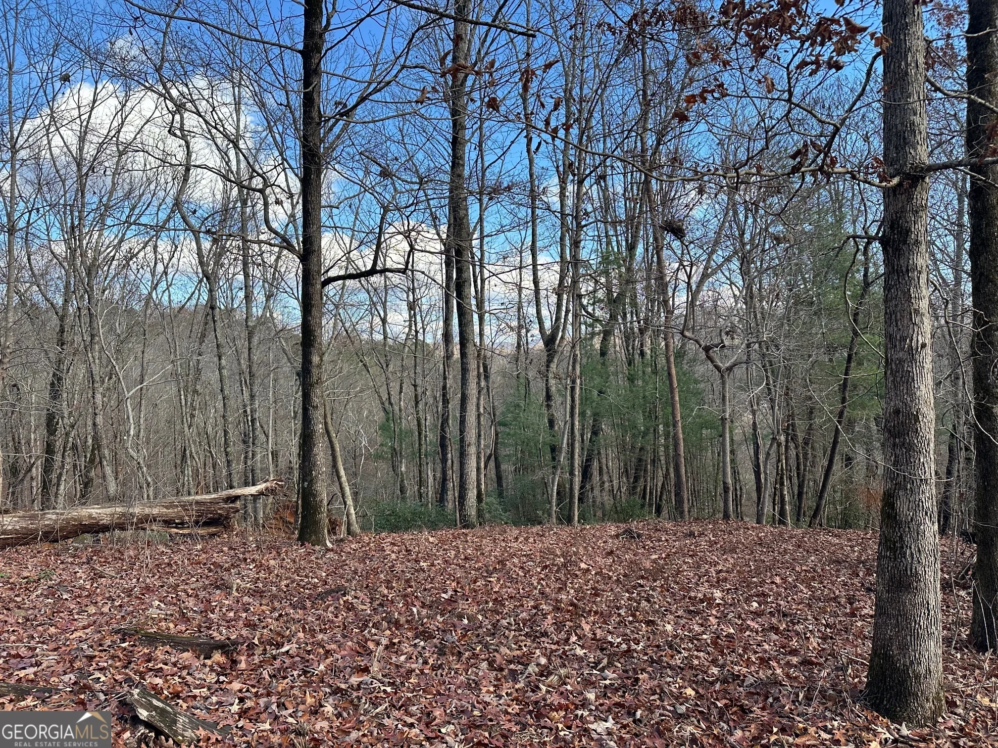 200 Mincey Acres Drive, Murrayville, GA, 30564
