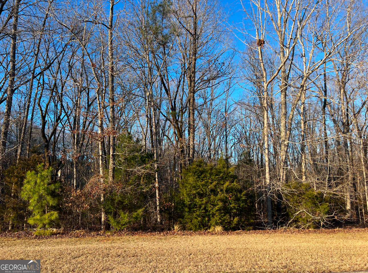 River Forest building lot. 1.4 Acres. River Forest is a gated community, offering a championship golf course, full service clubhouse, parks, walking trails, fitness, swim and tennis facilities.
